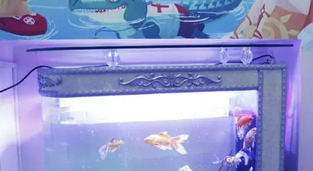Xingyang Shangyue Express Homestay (Opalala Water Park), Book Hotel Xingyang Henan