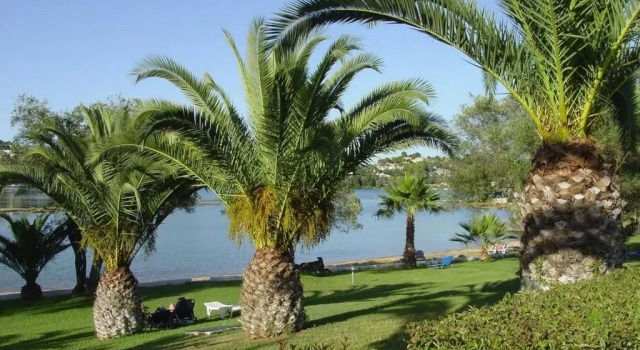 Апартаменты Laguna Corfu