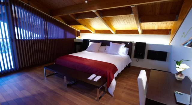 Двухместный номер Premium Hotel Eguren Ugarte