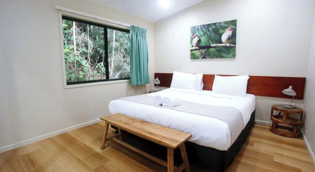 Одноместный номер Standard с балконом Chambers Wildlife Rainforest Lodges