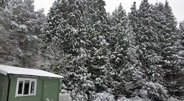 Woodland Cabin With private Wood-Fired Hot-Tub, Забронировать Гостевой дом Отели High Weald с парковкой, Парковка