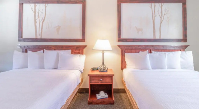 Четырёхместный номер Standard Murphys River Lodge