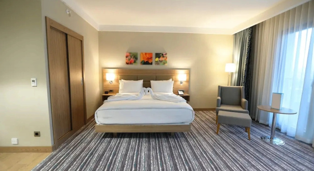 Одноместный люкс Park Dedeman Adıyaman Hotel