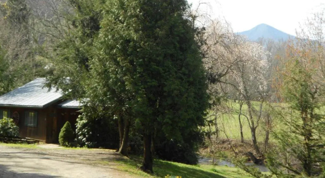 Номер Standard Mountain Springs Cabins