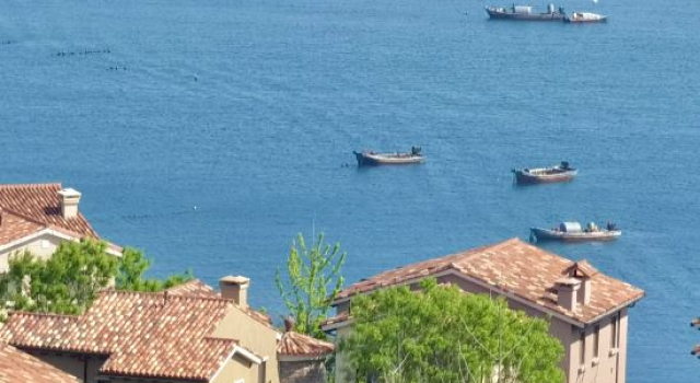 Floral Hotel·Orange Sea Homestay, Забронировать Отель Вэйхай Шаньдун