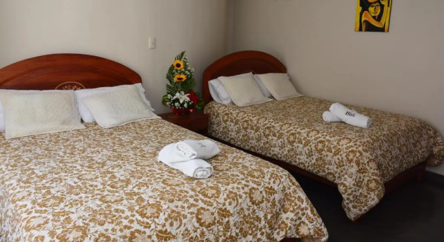 Двухместный номер Comfort Hotel Elvita Spa