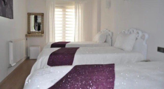 Трёхместный номер Standard Garra Hotel