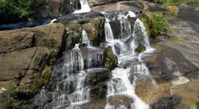 Bio Veda Ayurvedic Hill resort, Забронировать Курортный отель Отели штата Тамилнада с завтраком, Завтраки