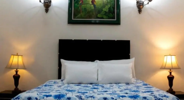 Номер Deluxe Casa Alebrijes Hotel