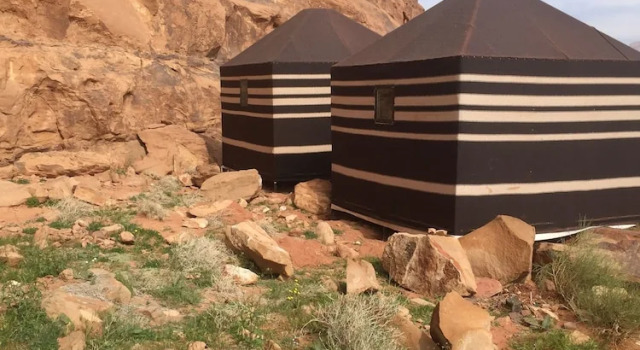 Bett im Wohnheim Bedouin Host Camp