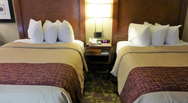 Номер Standard Econo Lodge Zanesville Downtown