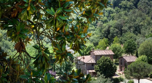 Апартаменты c 1 комнатой Villa Norcenni ApartHotel