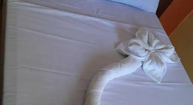 Двухместный номер Standard N & F Guest House