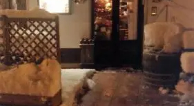 Locanda dai Pistori, Забронировать Отель Сельва-ди-Проньо Венеция