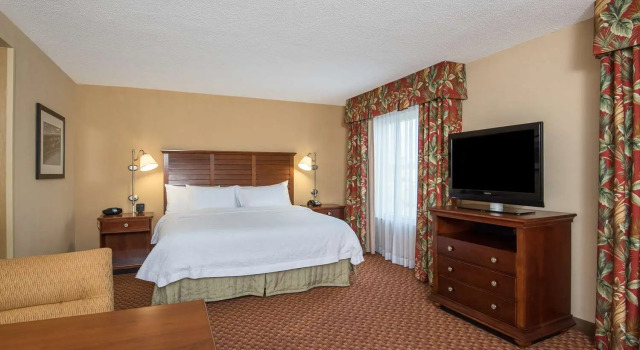 Студия Hampton Inn & Suites Florence-North-I-95