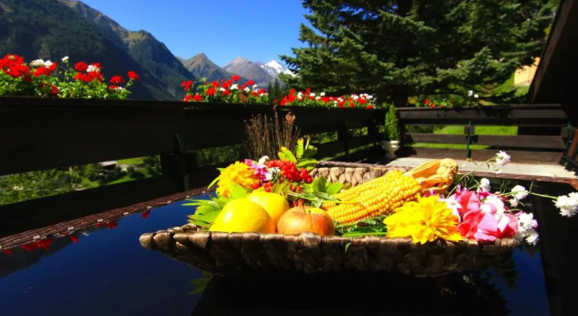 Апартаменты Superior Villa Grossglockner Heiligenblut