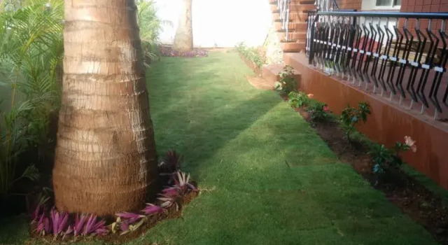 Mangrove Suites, Rezervovat Hotel Maisúr Bangalore