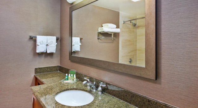 Двухместный номер Standard Holiday Inn Washington-Dulles International Airport by IHG