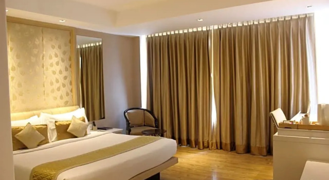 Двухместный номер Business Hotel Swati Deluxe