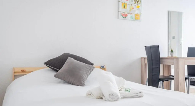 Petit Cronenbourg - GOLDEN TREE - WIFI - 5 min gare de Strasbourg, Book Apartment Strasbourg 