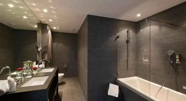 Двухместный номер Standard с видом на горы Hotel Vitznauerhof - Lifestyle Hideaway at Lake Lucerne