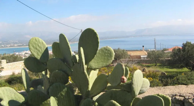 Studios Maniati, Reserva ahora Hotel Elafonissos Cape Malea