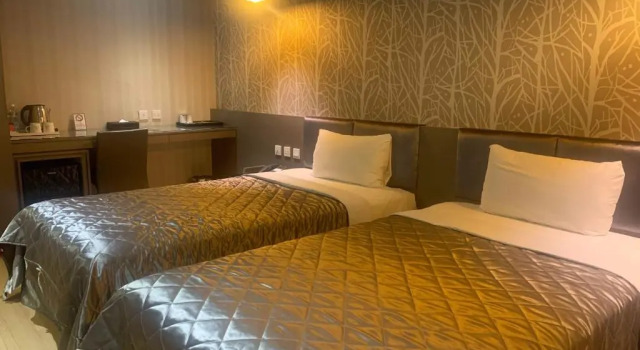 Двухместный номер Economy Fine Hotel