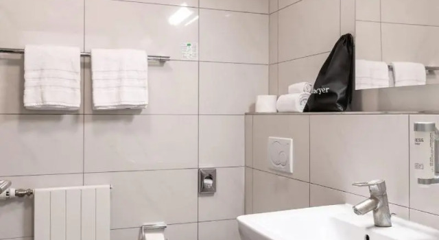 Двухместный номер Standard с видом на сад Hotel Sursee