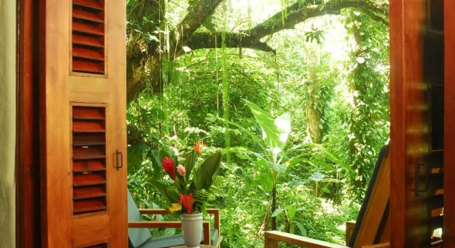 Номер Standard Playa Nicuesa Rainforest Eco Sanctuary