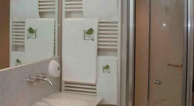 Двухместный номер Standard Hotel Vall Fosca
