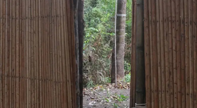 Thansur Tatai Eco Resort