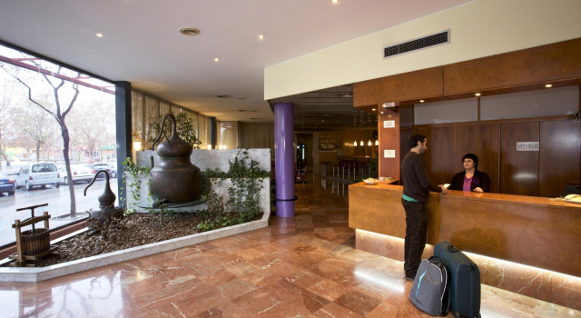 Hotel Domo