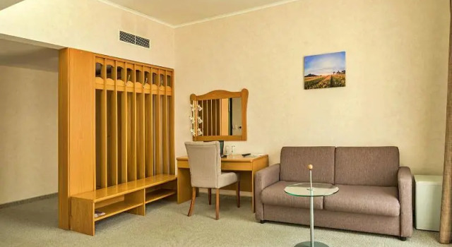 Двухместный номер Executive Dunav Plaza Hotel