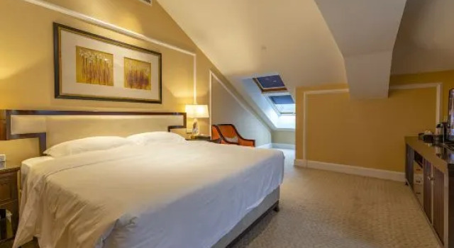 Номер Superior Hangzhou Rose Garden Resort & Spa