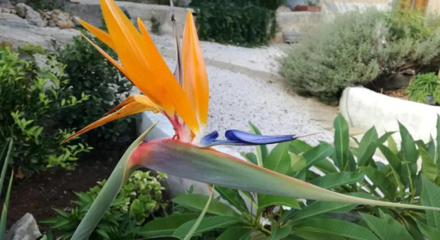Casa Vacanze Sidda, Reserva ahora Hotel Custonaci Sicilia