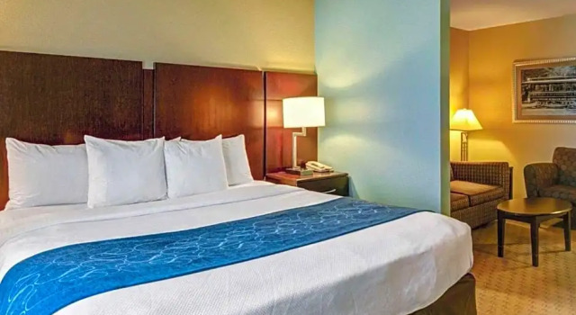 Люкс Standard Comfort Suites near Hot Springs Park