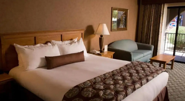 Номер Deluxe Borrego Springs Resort