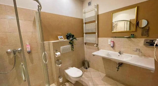 Трёхместный номер Standard Great Polonia Krakow Old Town