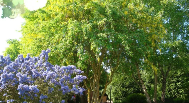 Двухместный номер Standard с видом на сад Au Jardin DEloïse