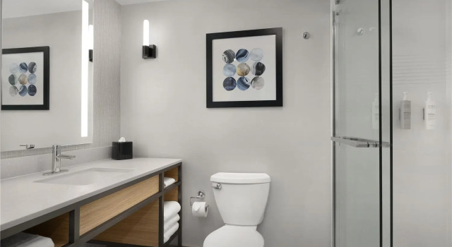 Двухместный полулюкс Hilton Garden Inn Huntsville/Space Center