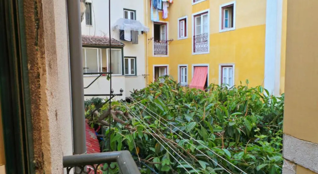 Апартаменты Barracão de Alfama Apartments