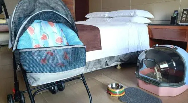 Полулюкс Country Garden Golden Beach Spring Hotel