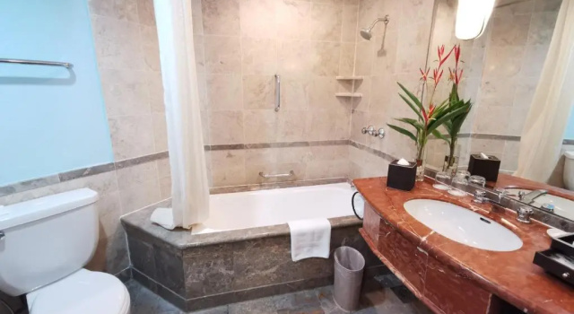 Двухместный номер Deluxe Thistle Johor Bahru