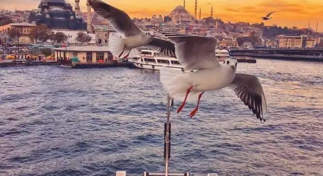 Kadıköy Studio Flat, Boek Hotel Kadıköy 