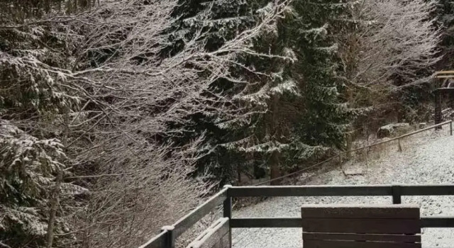 Mladenović Kuća, Buchen Sie Hotel Kopaonik 