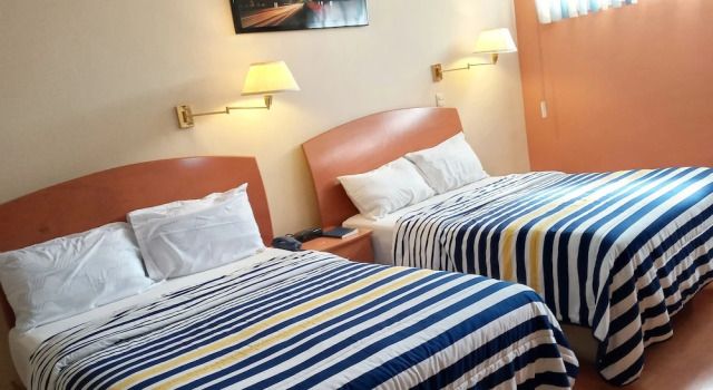 Четырёхместный номер Standard Hotel Florencia Regency