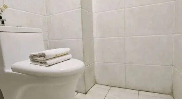 Кровать в общем номере Homeinn Pebble Hotel (Zhengding Airport)