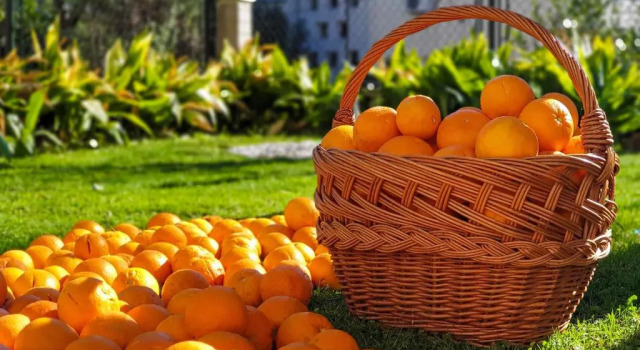 Апартаменты Superior Ambience Dubrovnik