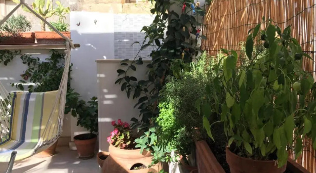 Апартаменты Secret garden in the old town