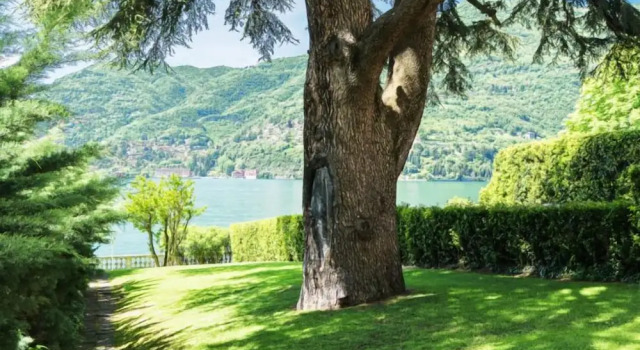 Il nido di Villa Cademartori